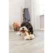1.7_31260 TRIXIE Kietas sūrio skanėstas šunims, XS: 13.5 cm, 25 g (pak.24) paveikslėlis