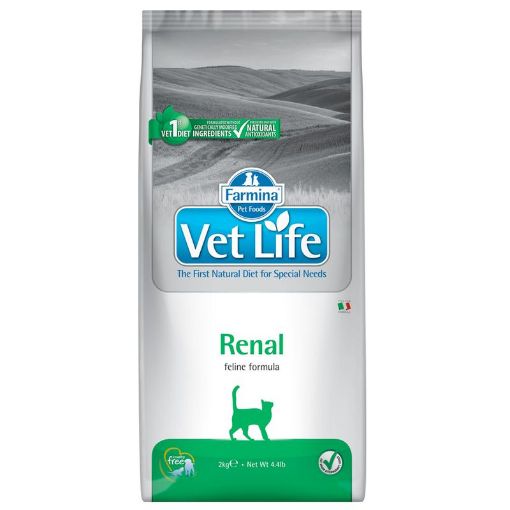 F24831 FARMINA VET LIFE - CAT Dry RENAL 10 kg paveikslėlis