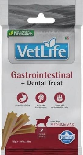 F43252 FARMINA  VET LIFE - DOG TREAT - GASTROINTESTINAL ADULT MED&MAX 100 g paveikslėlis
