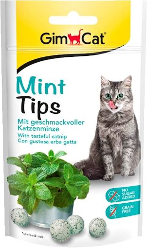 02.418742 GIMCAT MINT TIPS 40G skanėstai katėms paveikslėlis