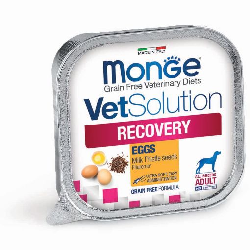 M14533 MONGE VetSolution Dog Wet Recovery 150 g paveikslėlis