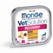 M14656 MONGE VetSolution Cat Wet Recovery 100 g paveikslėlis