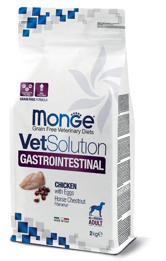 M81047 MONGE VetSolution Dog Gastrointestinal Adult 2 kg paveikslėlis