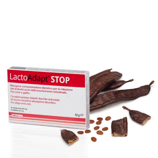 DG44987 DOGOTEKA LactoAdapt STOP 6 tabl. paveikslėlis