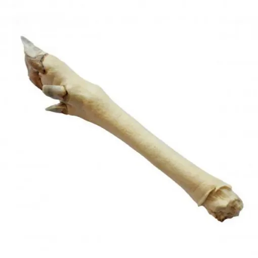 A59009 Elnio kojos baltos 2vnt paveikslėlis