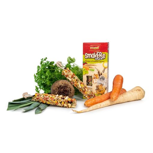 V11084 Vitapol Smakers® graužikams su daržovėmis 2vnt. paveikslėlis