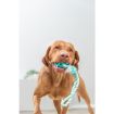 1.8_3299 TRIXIE Denta Fun Kamuolys su virve, natūrali guma, 7-24 cm (pak.3) paveikslėlis