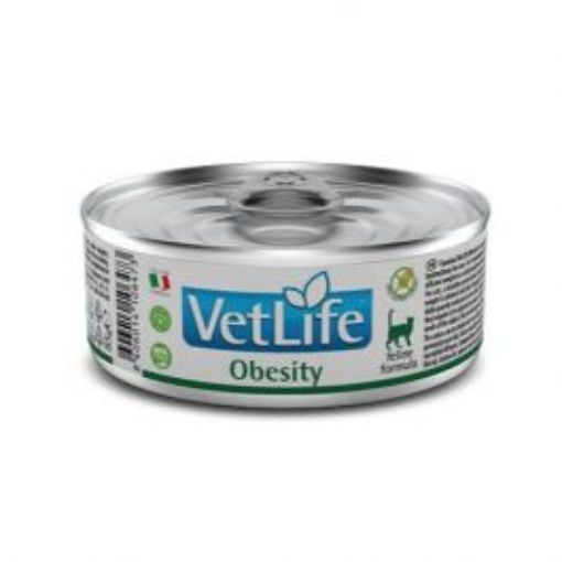 F06473 FARMINA VET LIFE - CAT Wet OBESITY 85 g (pak.12) paveikslėlis