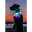 1.1_12642 TRIXIE LED antkaklis USB, silikonas, XS-XL 70cm/10mm, mėlynas (pak. 2) paveikslėlis