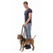 2.3_19408 TRIXIE VET Pagalba vaikštant, L-XL 75-85 cm, juoda paveikslėlis