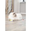 3.5_4534 TRIXIE Kamuoliukų su iškilimais rinkinys, guma 3.5 cm, 4 vnt. (pak.4) paveikslėlis