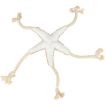 1.8_36046 TRIXIE BE NORDIC Jūrų žvaigždė Jane, pliušas/virvė, 32 cm (pak.2) paveikslėlis