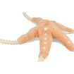 1.8_36046 TRIXIE BE NORDIC Jūrų žvaigždė Jane, pliušas/virvė, 32 cm (pak.2) paveikslėlis