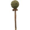 3.5_42430 TRIXIE Matatabi žaislas katei lazdelė su katžolės kamuoliuku, 11 cm (pak.4) paveikslėlis