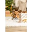 TRX_92013 TRIXIE Xmas Žvaigždė, 10 cm, lateksas, su garsu (pak.3) paveikslėlis