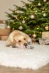 TRX_92005 TRIXIE Xmas Elnias su virve, 47 cm (pak.3) paveikslėlis