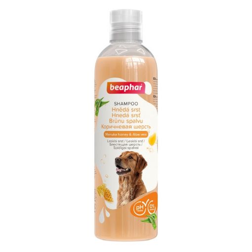 B142064 Beaphar Brown Coat Shampoo Dog, 250ml (pak6) paveikslėlis