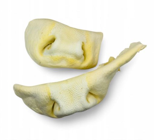 A59024 Jaučio nosys baltos 15-18 cm 5vnt. paveikslėlis