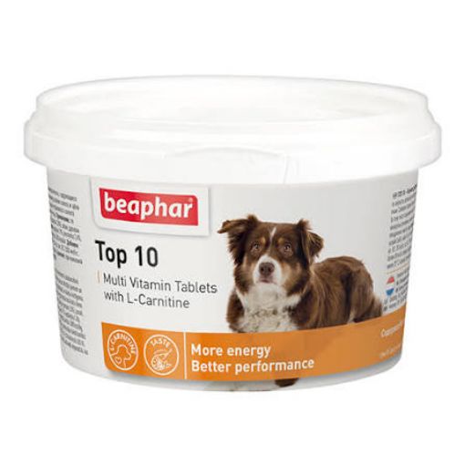 B125678 Beaphar TOP 10 For Dogs, 750tab. (pak6) paveikslėlis