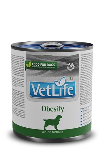 F06398 FARMINA VET LIFE - DOG Wet OBESITY 300 gr (pak.16) paveikslėlis