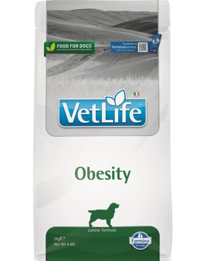 F25258 FARMINA VET LIFE - DOG Dry OBESITY 2 kg (pak.4) paveikslėlis